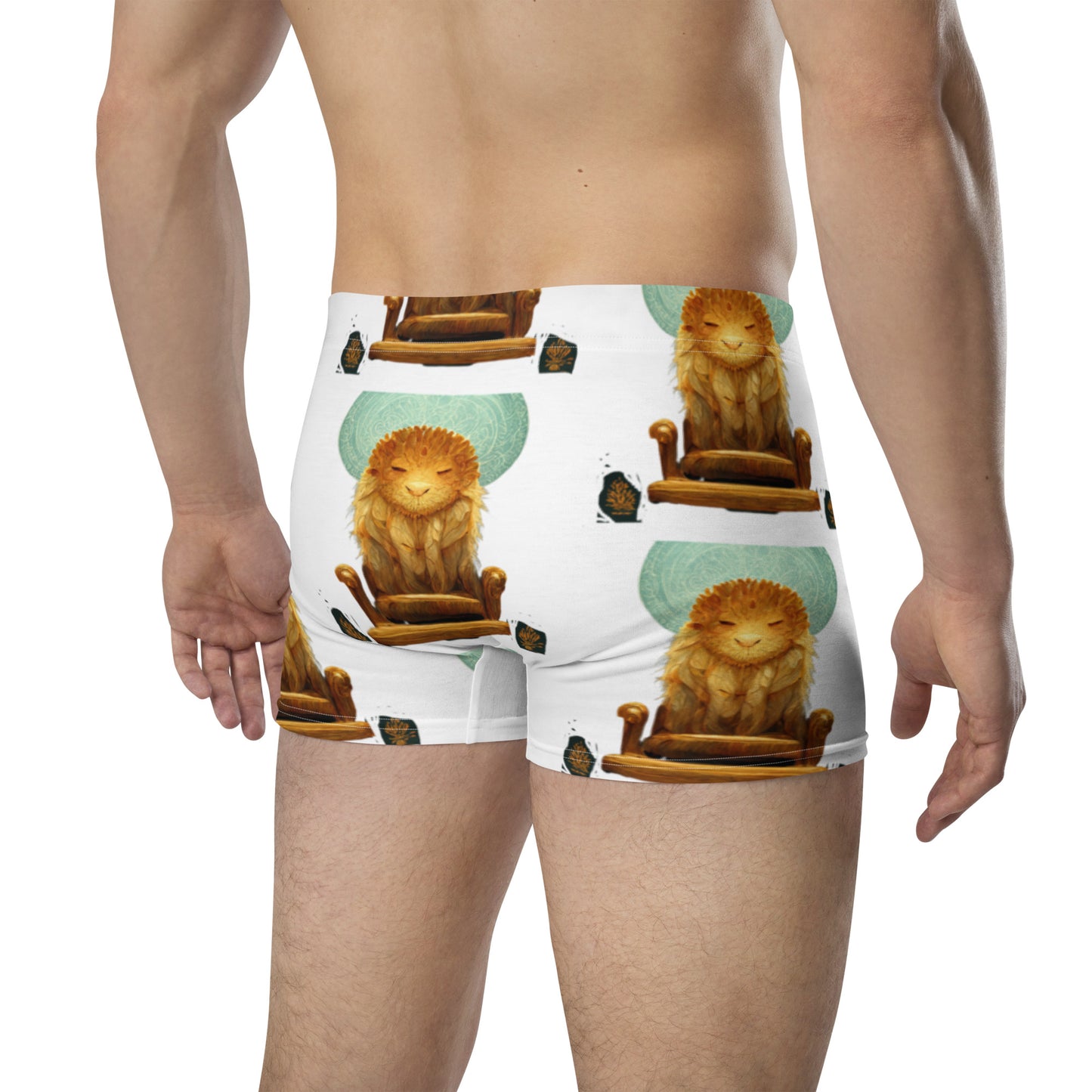 Male multi-colored Boxer Briefs