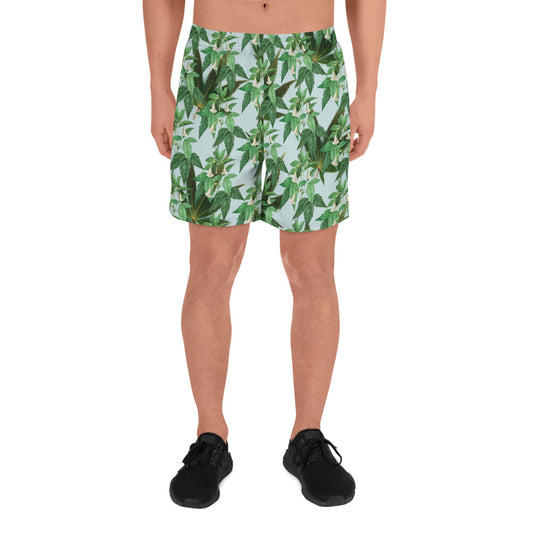 Men's  Shorts