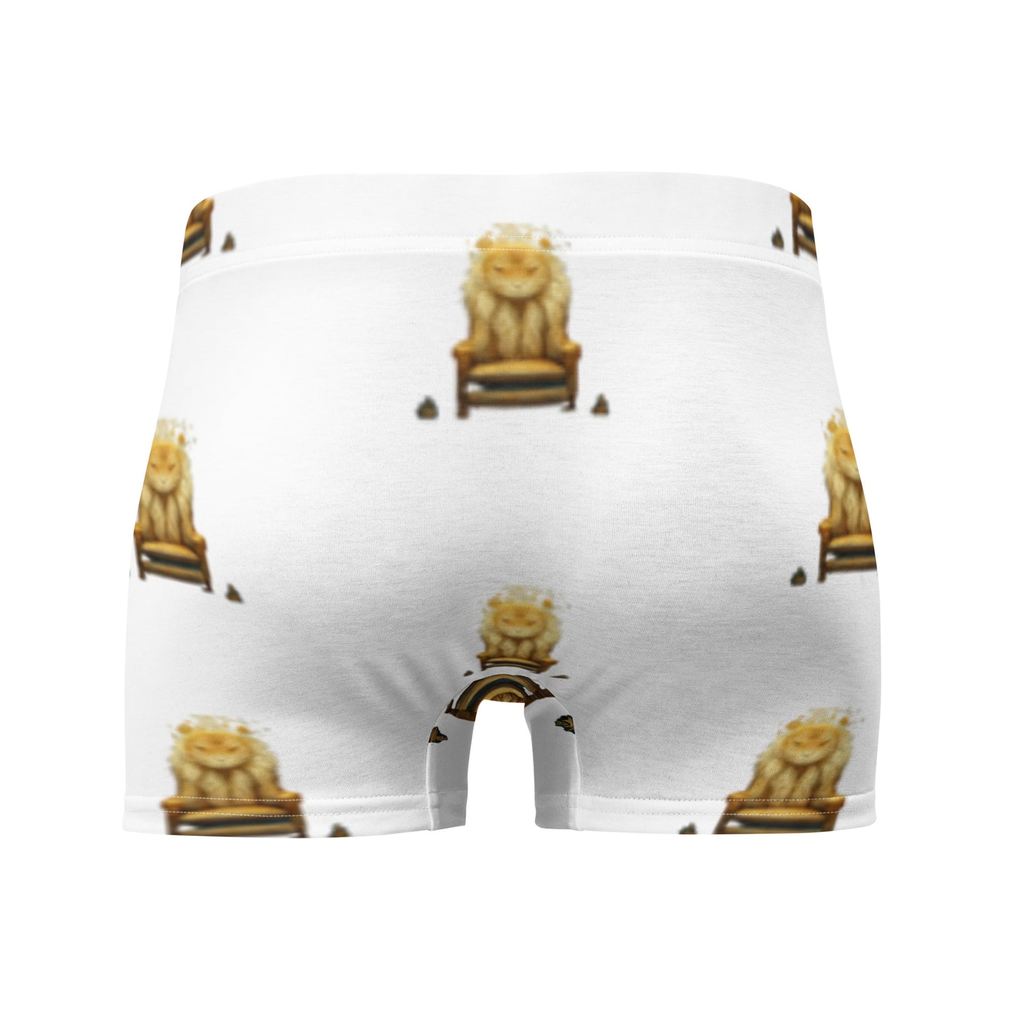 Boxer Briefs
