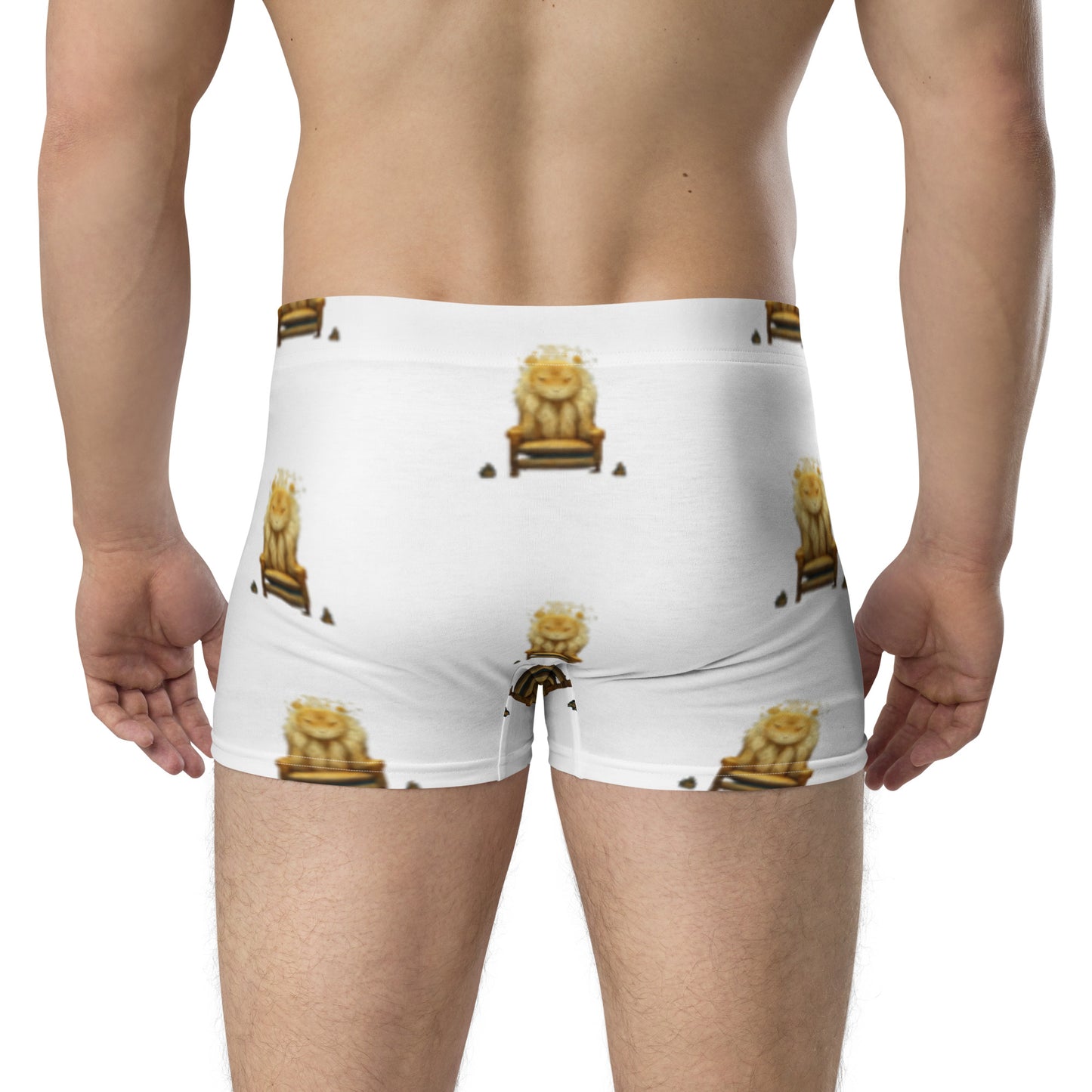 Boxer Briefs