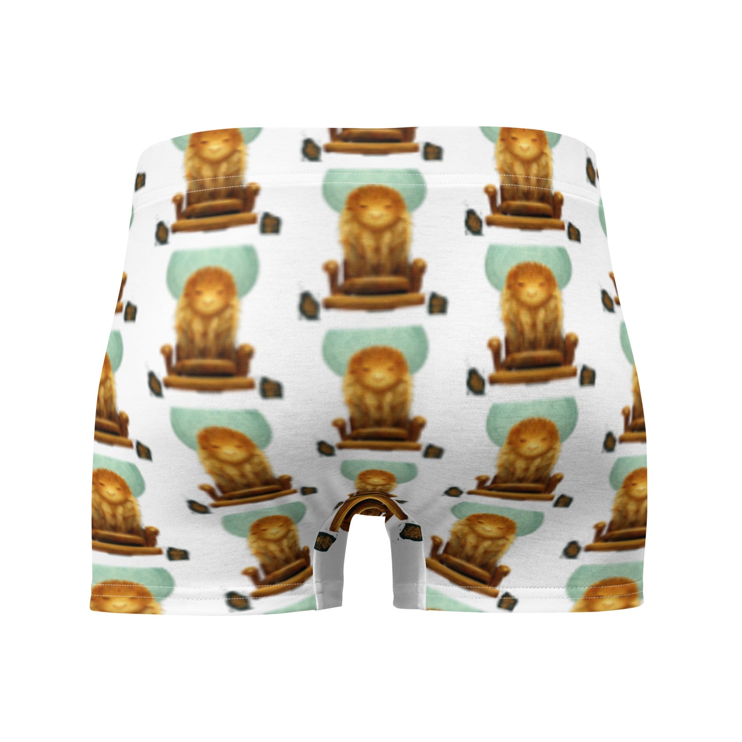 Male multi-colored Boxer Briefs