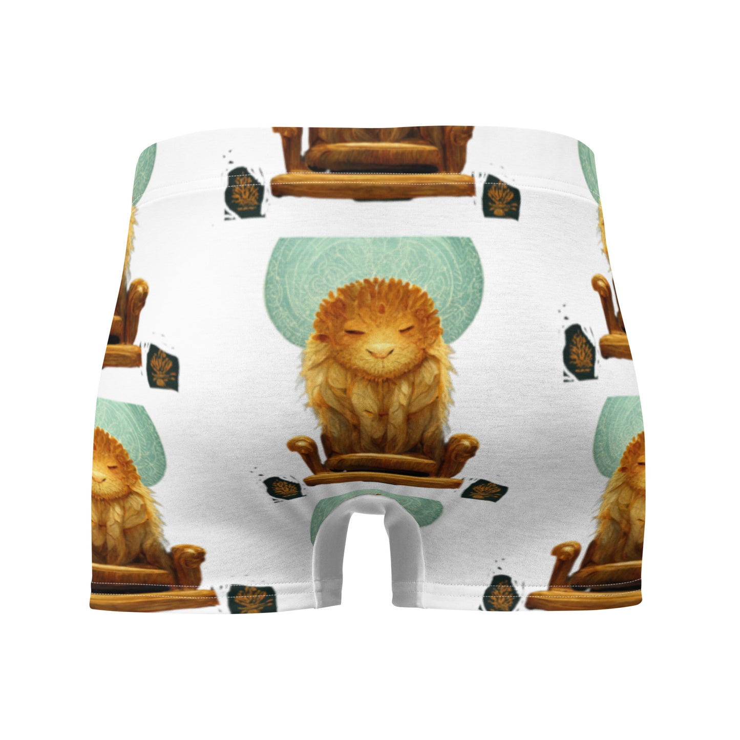 Male multi-colored Boxer Briefs