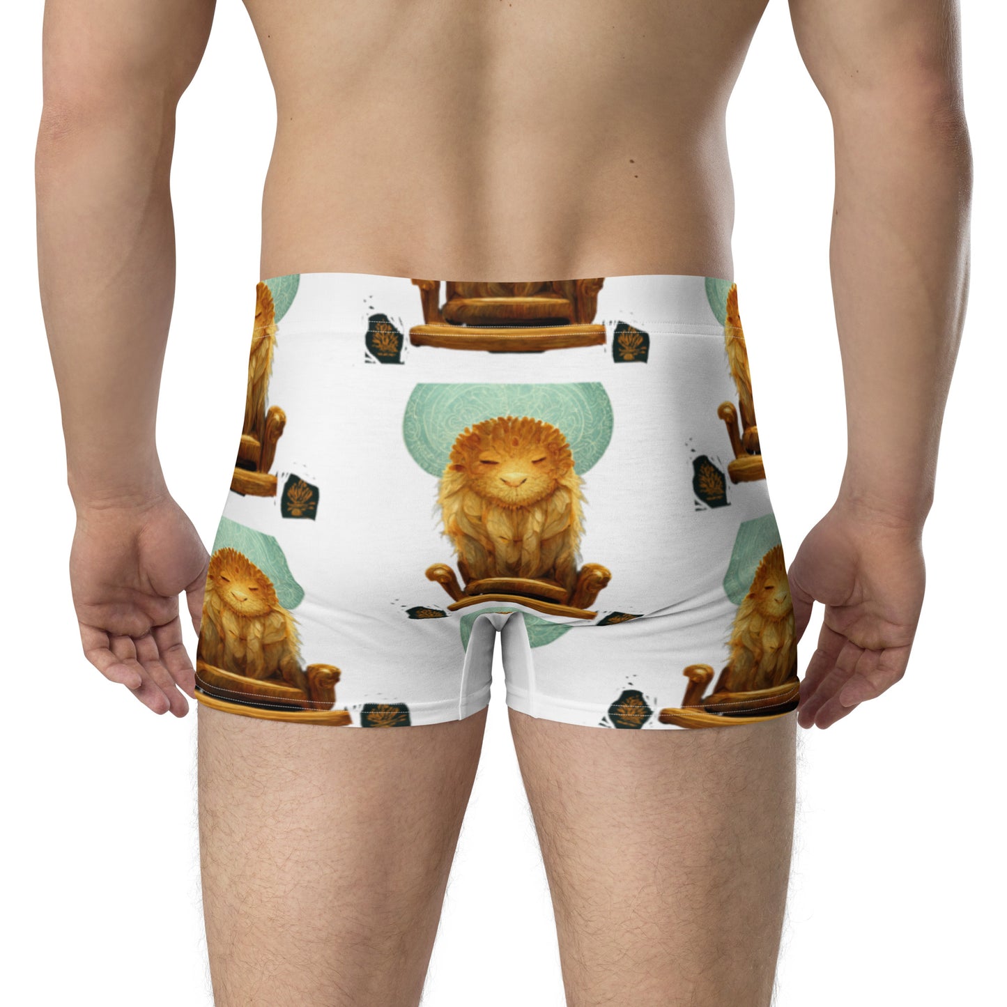 Male multi-colored Boxer Briefs