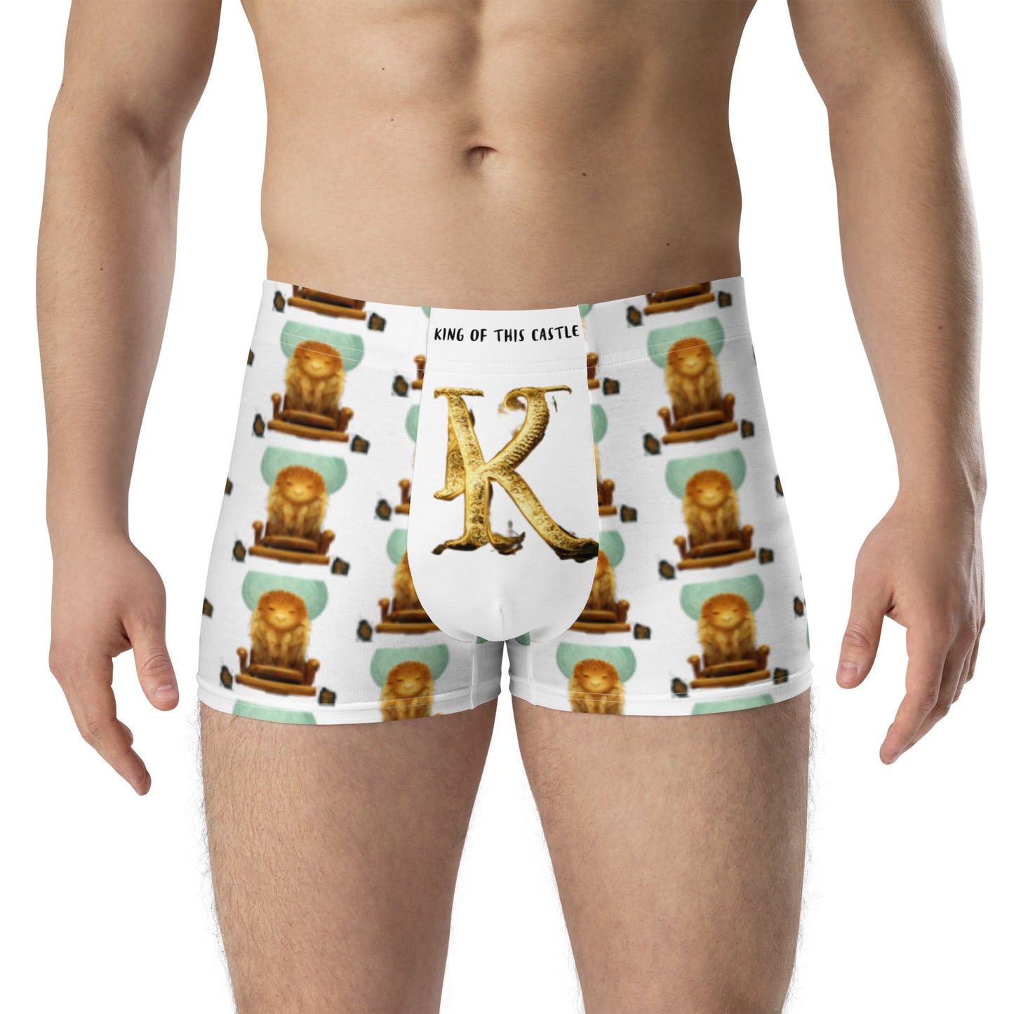 Male multi-colored Boxer Briefs
