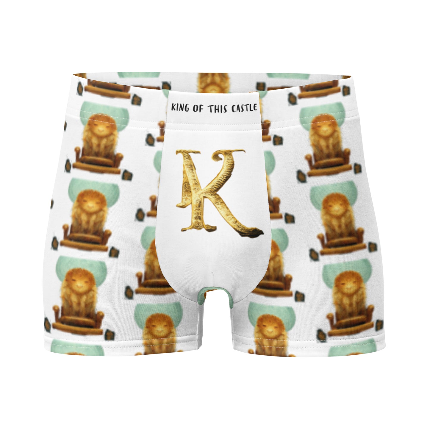 Male multi-colored Boxer Briefs