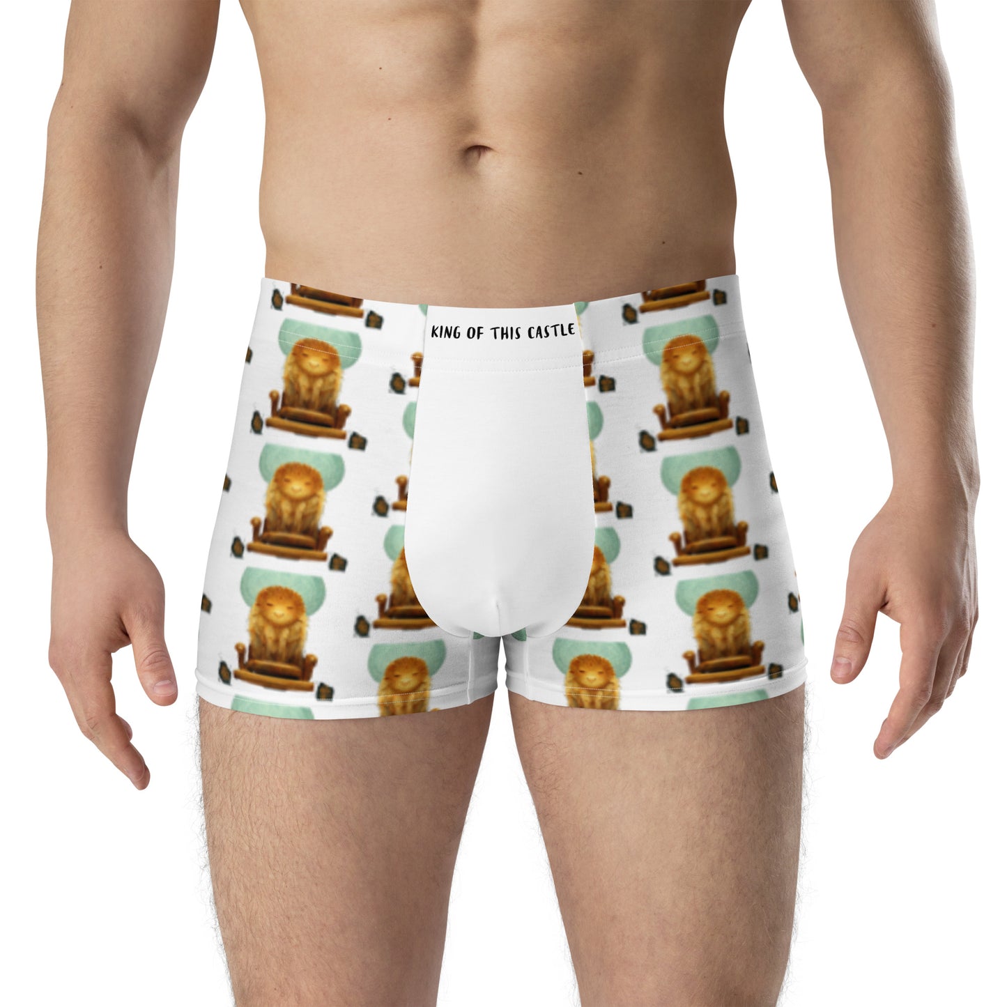 Male multi-colored Boxer Briefs