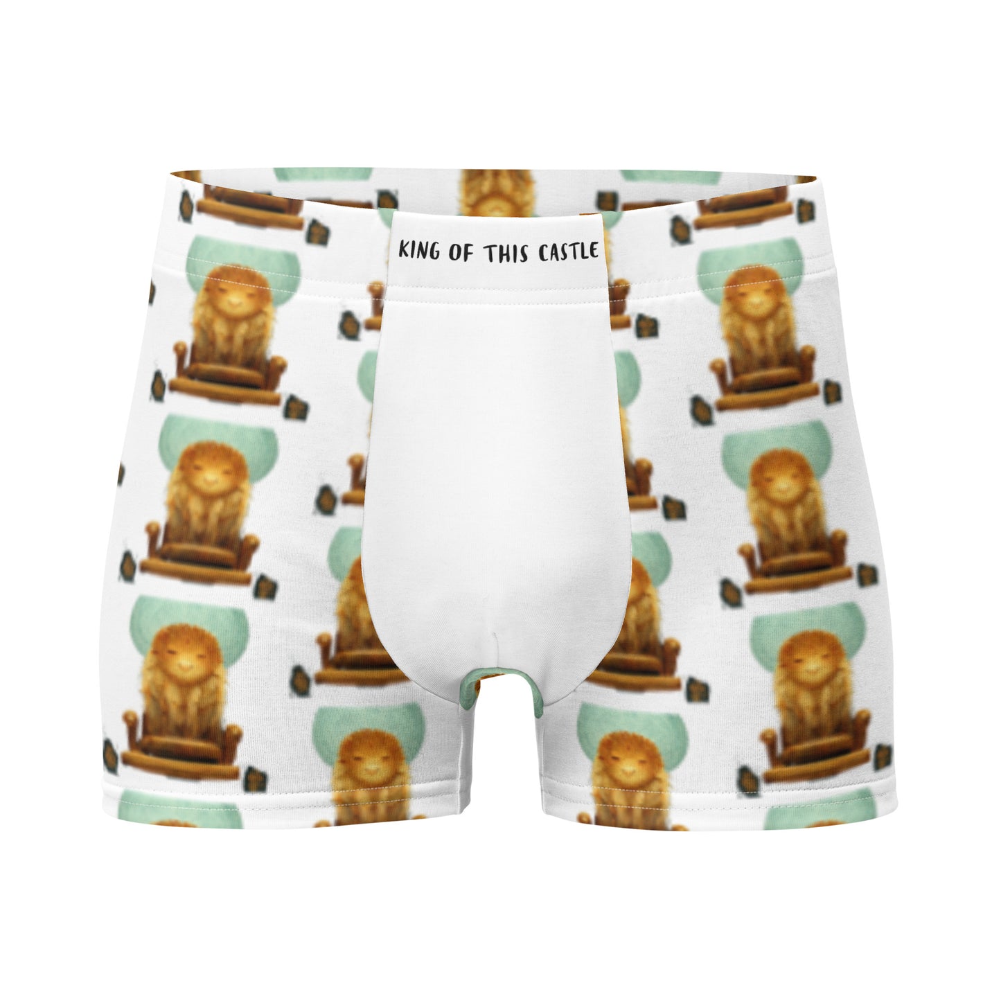 Male multi-colored Boxer Briefs