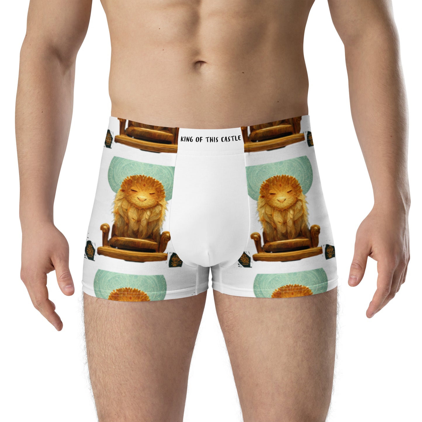 Male multi-colored Boxer Briefs