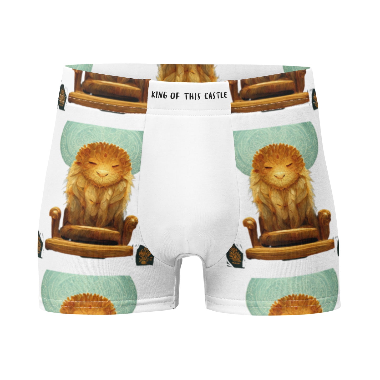 Male multi-colored Boxer Briefs