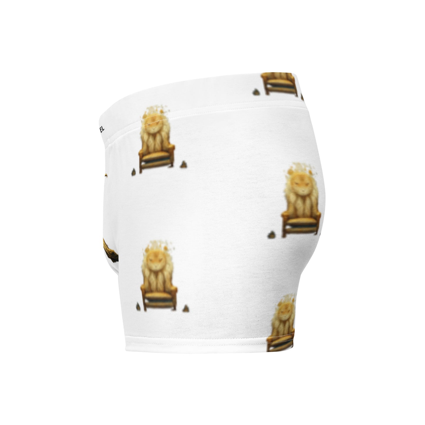 Boxer Briefs