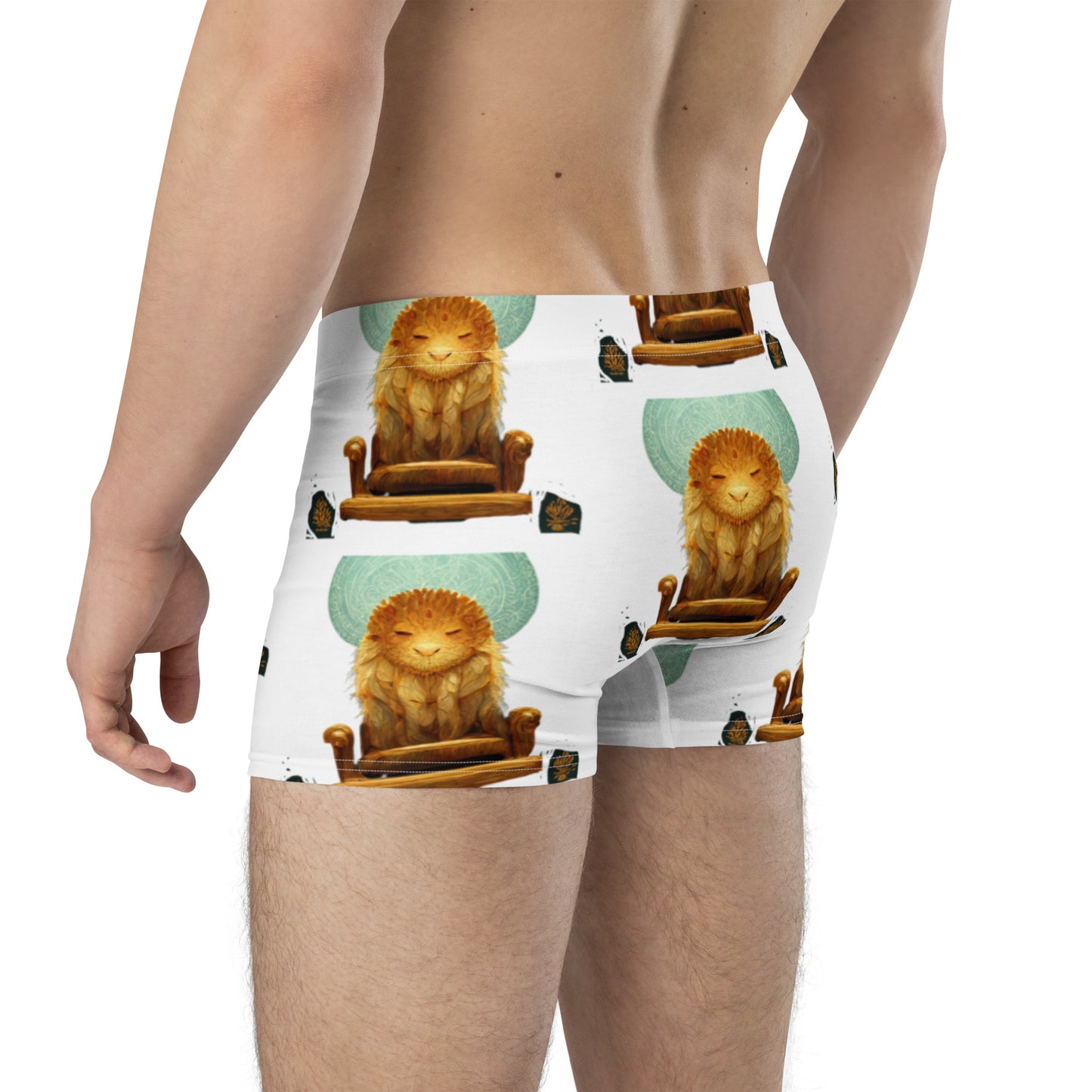 Male multi-colored Boxer Briefs