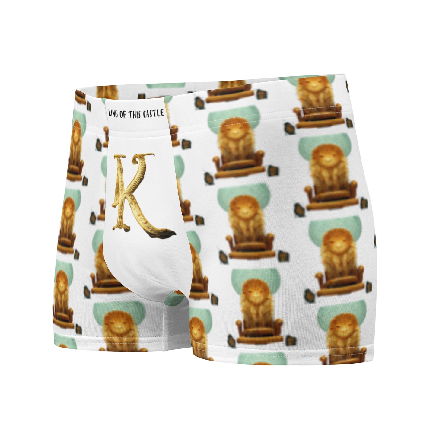 Male multi-colored Boxer Briefs