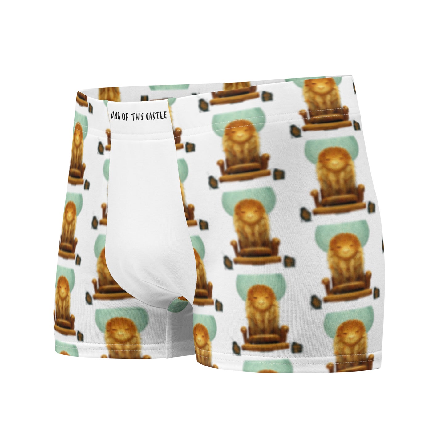 Male multi-colored Boxer Briefs