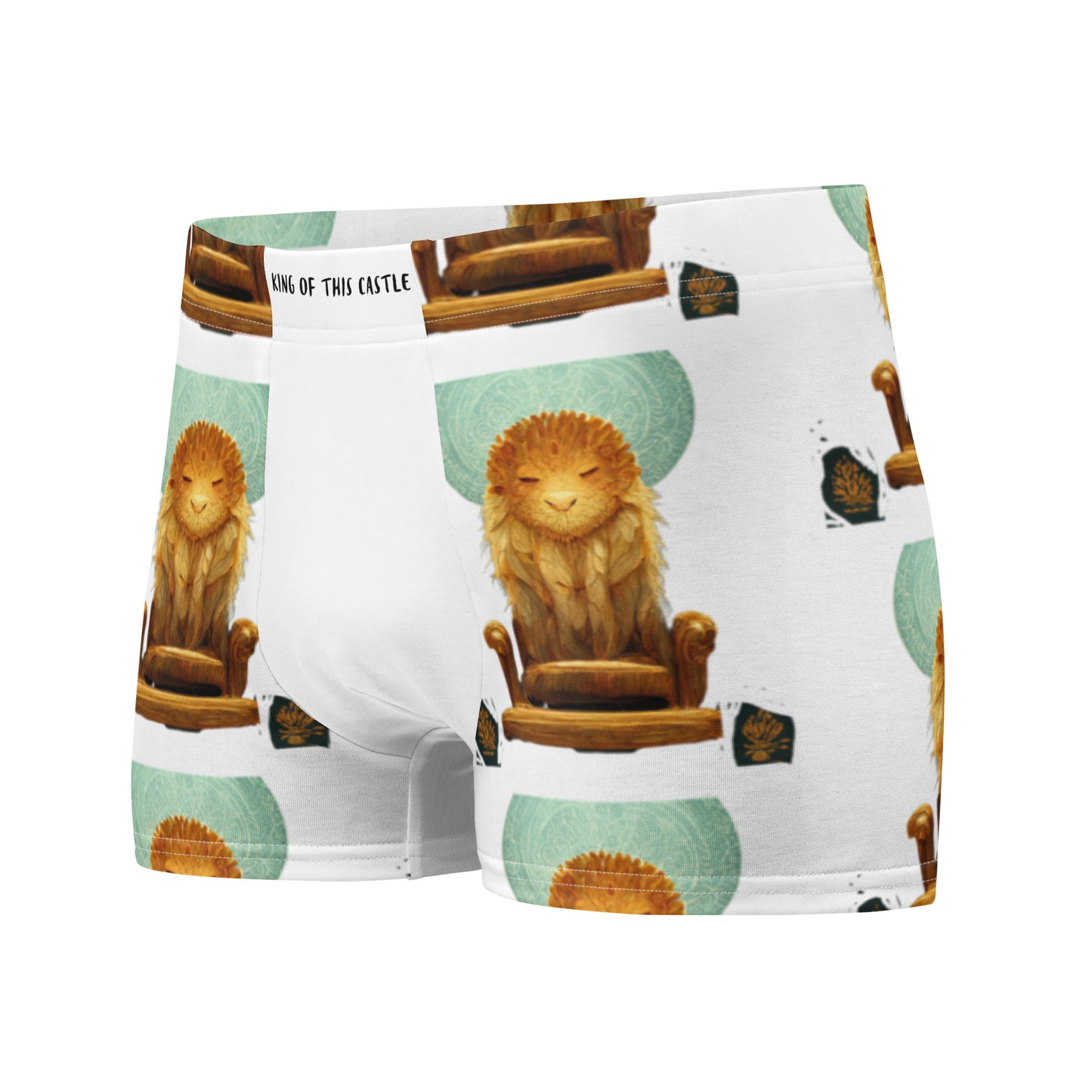 Male multi-colored Boxer Briefs