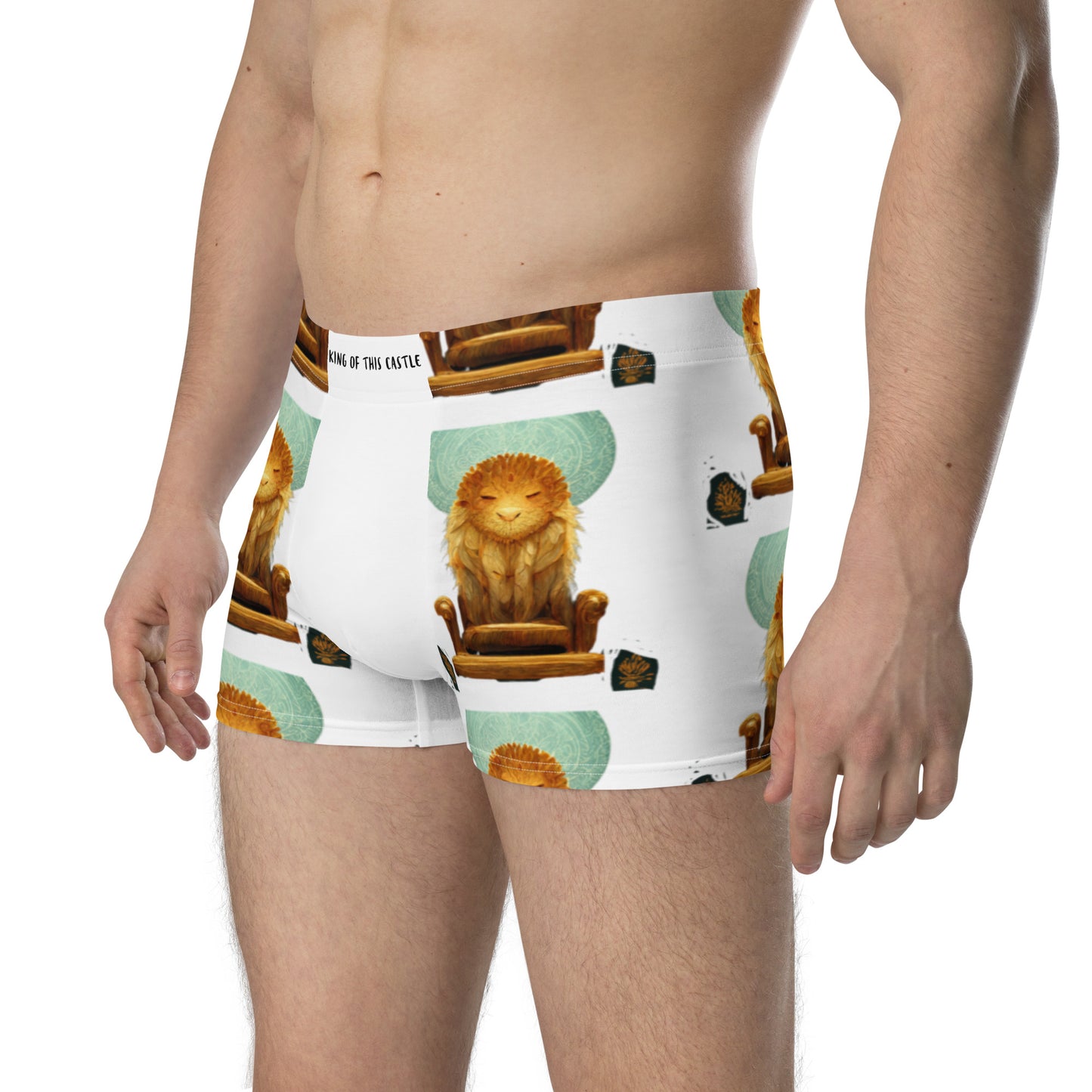 Male multi-colored Boxer Briefs