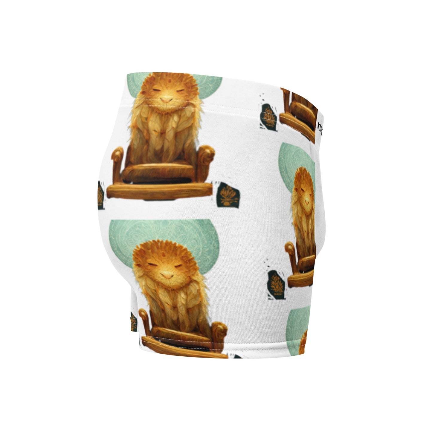 Male multi-colored Boxer Briefs