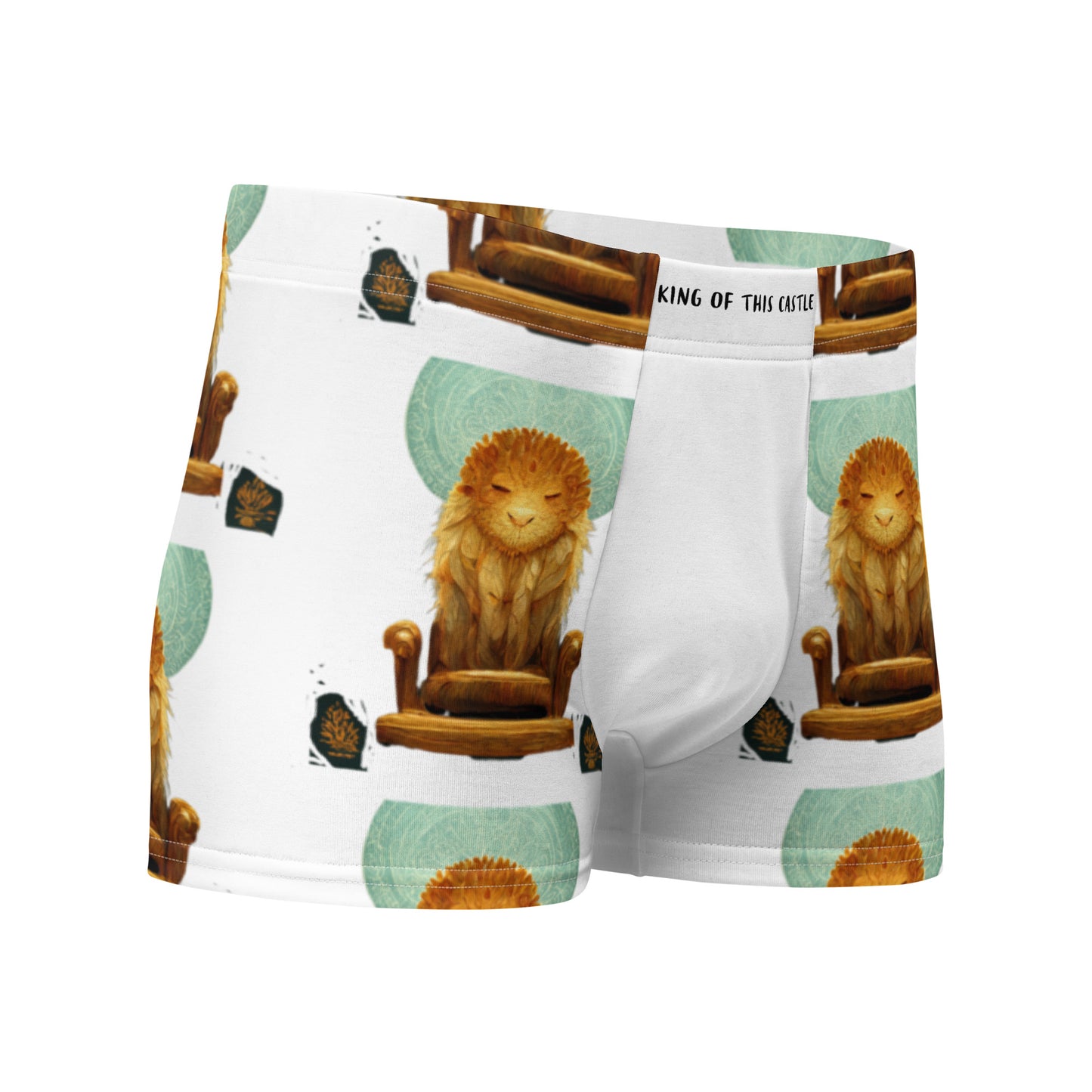 Male multi-colored Boxer Briefs